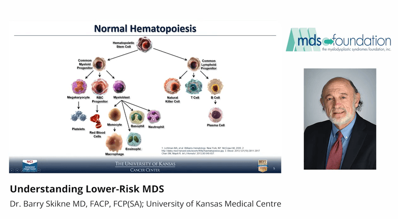 Emerging Treatments for Low-Risk MDS