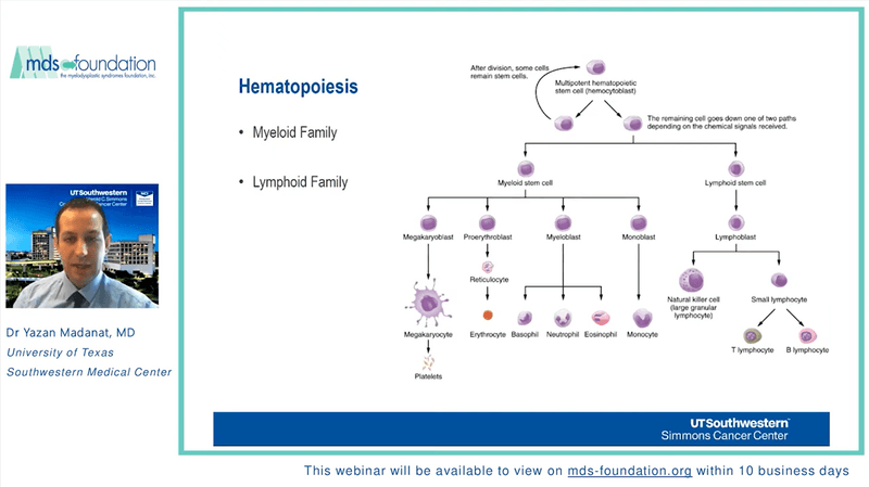 Factors to Consider in the Initial Treatment Approach