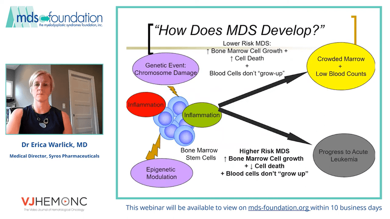 Outcomes for High-Risk MDS Patients Undergoing Transplant vs Standard Non-Transplant Therapies
