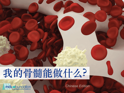 Bone Marrow Handbook