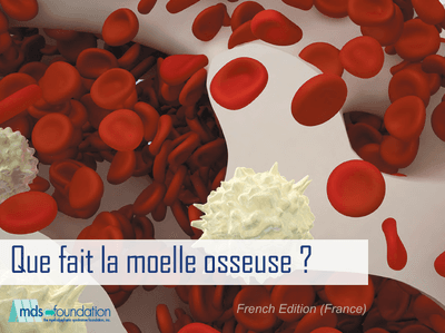 Bone Marrow Handbook