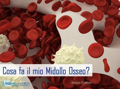 Bone Marrow Handbook