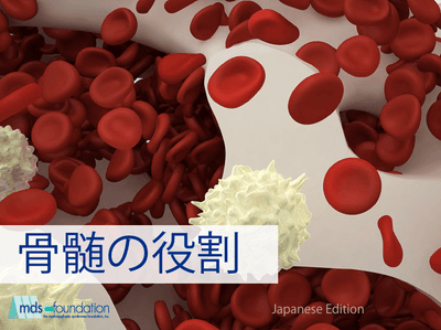 Bone Marrow Handbook