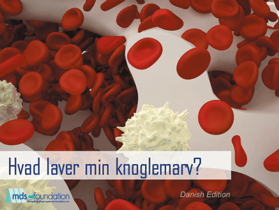 Bone Marrow Handbook