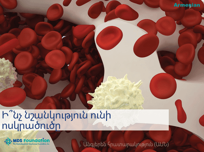 Bone Marrow Handbook