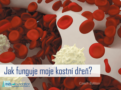 Bone Marrow Handbook