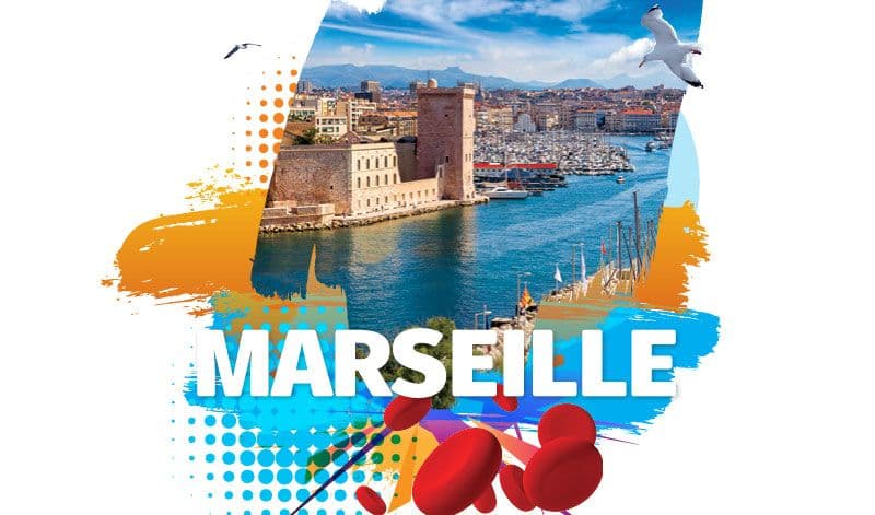 17th International Congress on MDS