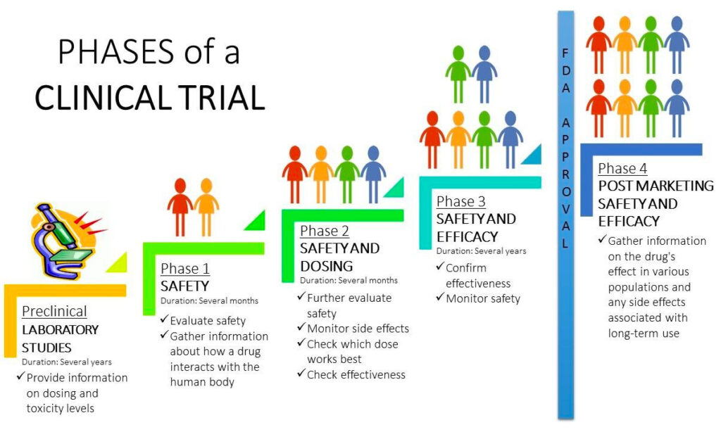 Phases of a Clinical Trial